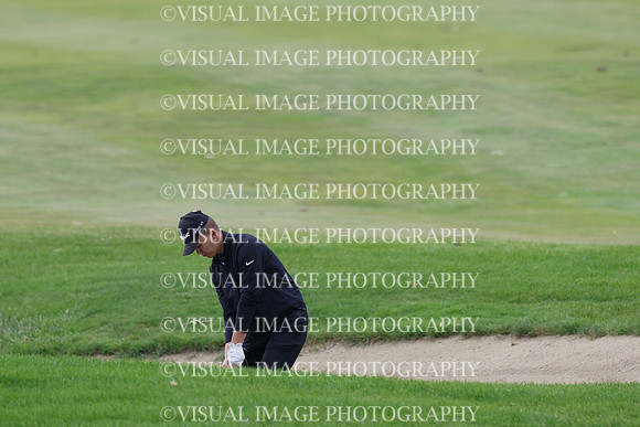 ILGF_25_T308005