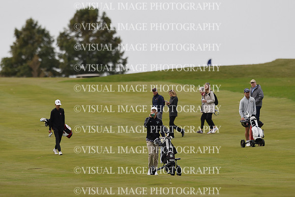 ILGF_25_T312006