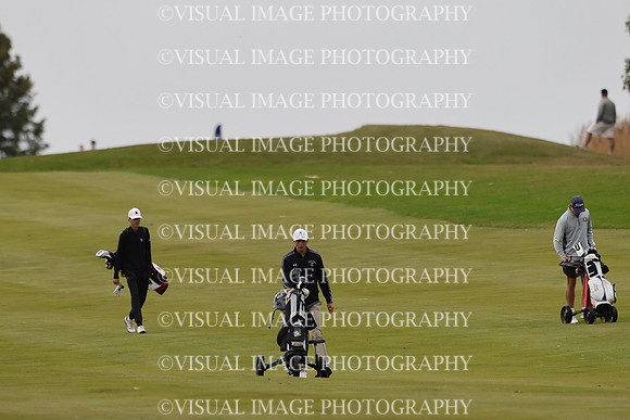 ILGF_25_T312008