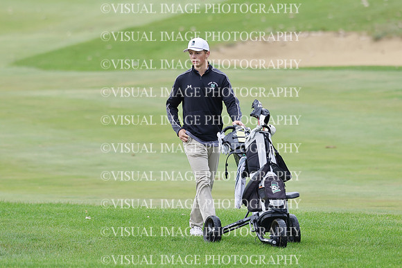 ILGF_25_T312011