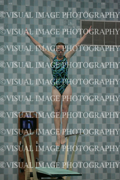 wiswg09_dive_2013