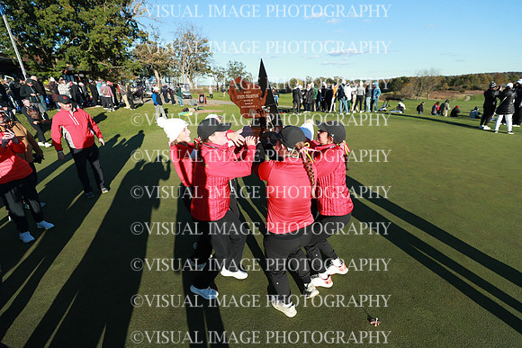 WIGFG_24_A1029