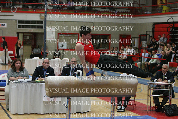 ILGYM14_PHORSE_I077