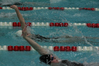 wiswg09_2imed_2011