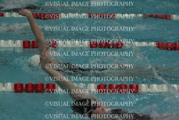 wiswg09_2imed_2011