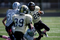 JV 2