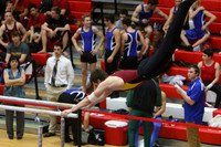 ILGYM15_PBARS_T0003