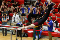 ILGYM15_PBARS_T0004