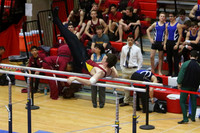 ILGYM15_PBARS_T0005