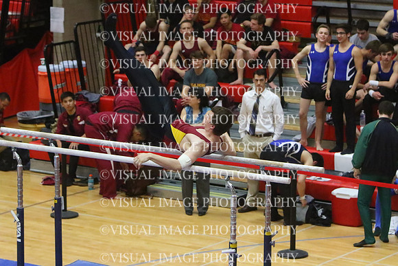 ILGYM15_PBARS_T0005