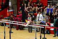 ILGYM15_PBARS_T0006