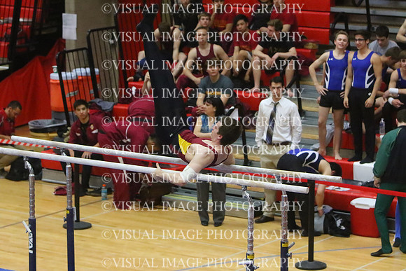 ILGYM15_PBARS_T0006