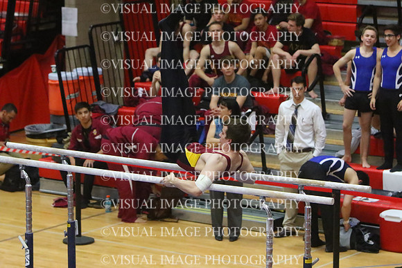 ILGYM15_PBARS_T0007