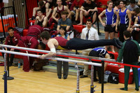 ILGYM15_PBARS_T0008