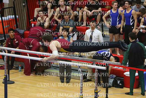 ILGYM15_PBARS_T0008