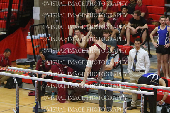ILGYM15_PBARS_T0010