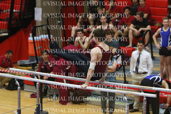 ILGYM15_PBARS_T0011