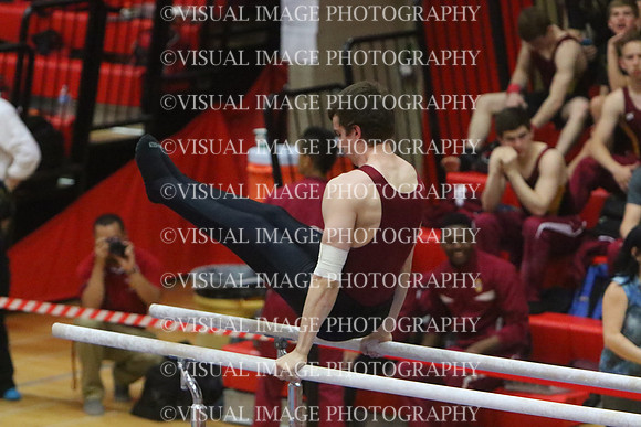 ILGYM15_PBARS_T0012