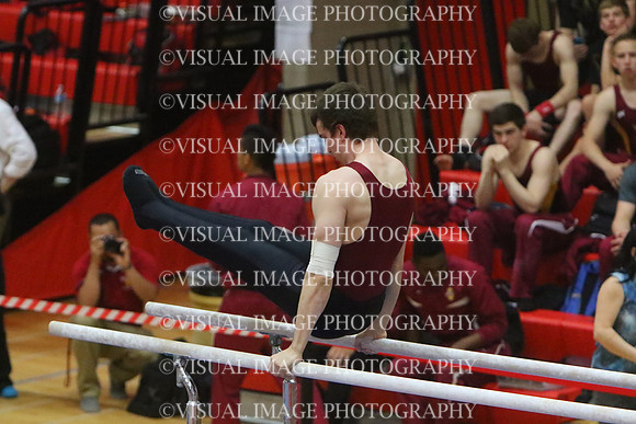 ILGYM15_PBARS_T0013