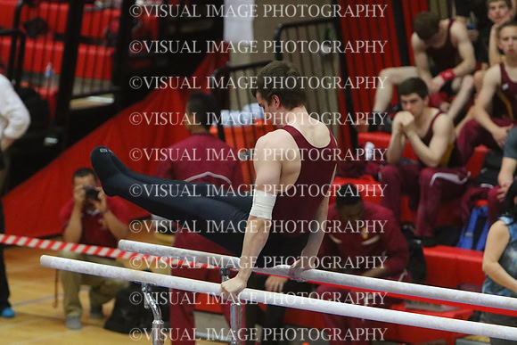 ILGYM15_PBARS_T0014