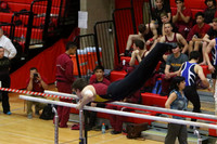 ILGYM15_PBARS_T0015