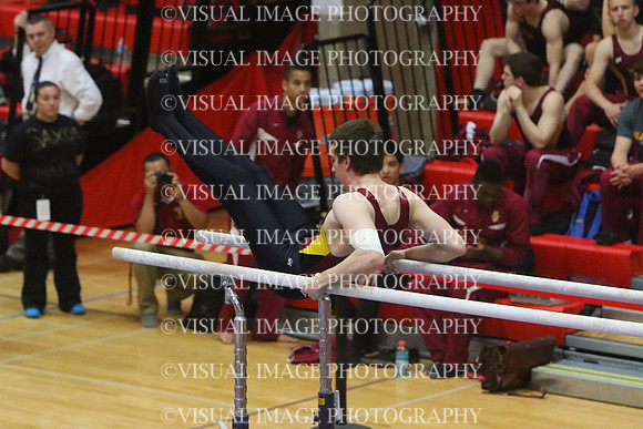 ILGYM15_PBARS_T0016