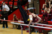 ILGYM15_PBARS_T0017