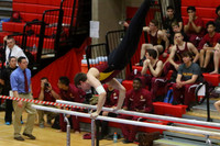 ILGYM15_PBARS_T0019