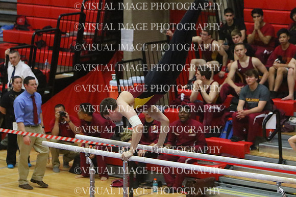 ILGYM15_PBARS_T0019