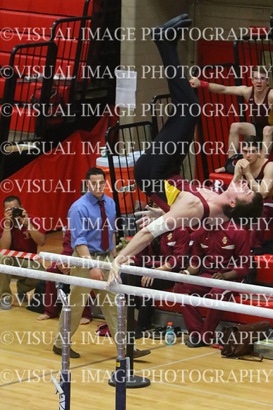 ILGYM15_PBARS_T0021