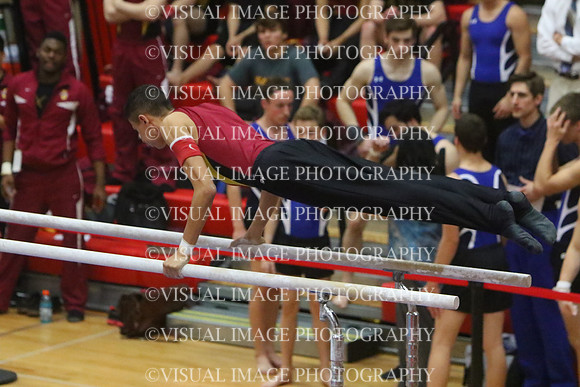 ILGYM15_PBARS_T0031