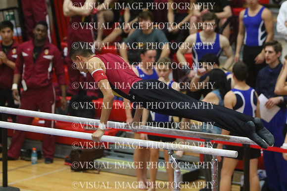 ILGYM15_PBARS_T0032
