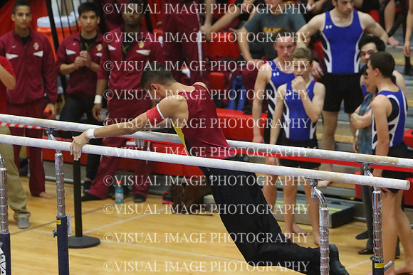 ILGYM15_PBARS_T0033