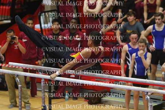 ILGYM15_PBARS_T0035