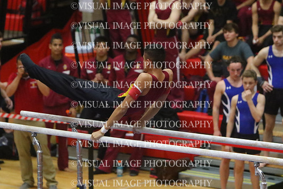 ILGYM15_PBARS_T0036