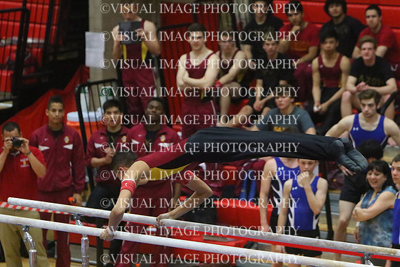ILGYM15_PBARS_T0037