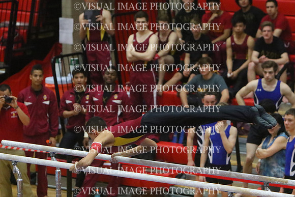 ILGYM15_PBARS_T0038