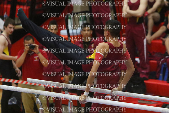 ILGYM15_PBARS_T0039