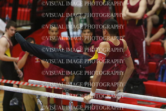 ILGYM15_PBARS_T0040