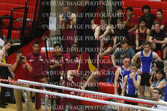 ILGYM15_PBARS_T0041