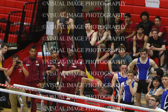 ILGYM15_PBARS_T0042