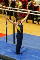 Parallel Bars