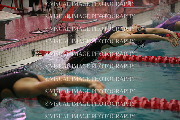 WISWG23_SWIM_10008