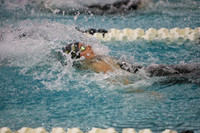 WISWG23_SWIM_10019