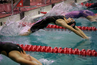 WISWG23_SWIM_10009