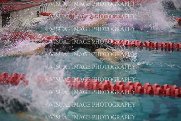 WISWG23_SWIM_10010