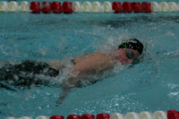 wiswg09_5free_2008