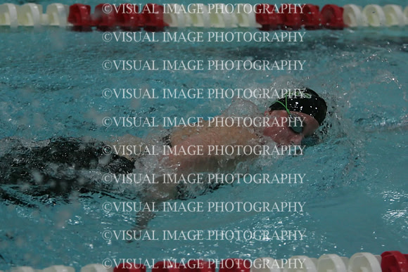 wiswg09_5free_2008