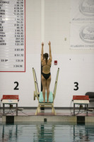 WISWG23_DIVE_20020