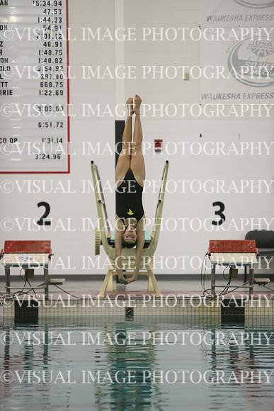 WISWG23_DIVE_20031